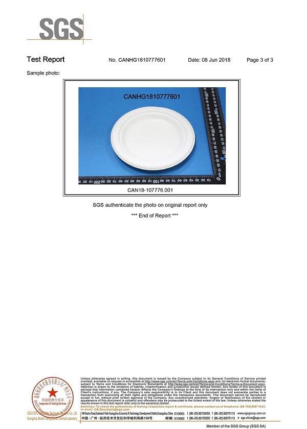 SGS Testing Report 03