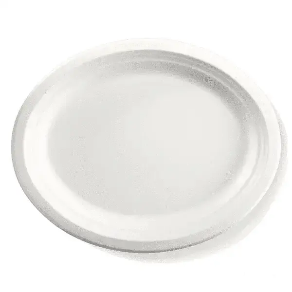 Big Oval Bagasse Plate 01