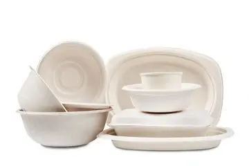bagasse tableware 