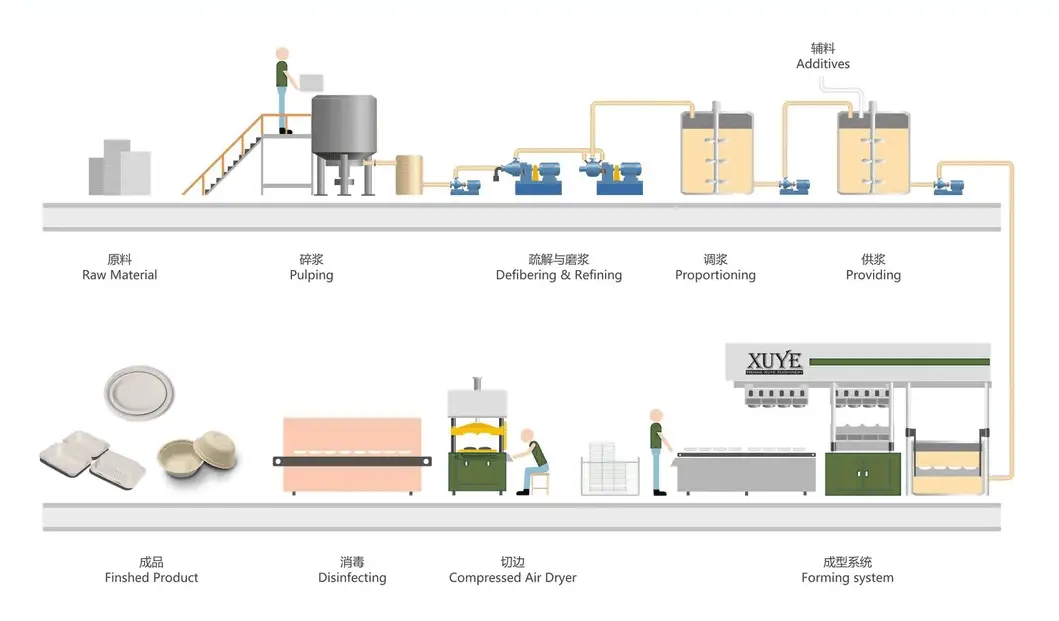 Manufacturing Process of Bagasse Tableware for 01 post 04