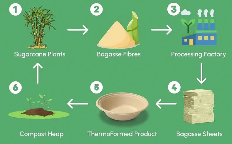 bagasse lifecycle for 01 post 03