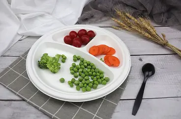 10 inch 3-Compartment Plate
