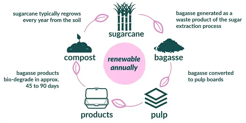 bagasse plates in compostable life-cycle infographic